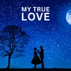 About MY TRUE LOVE Song