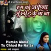 About Humko Akela Tu Chhod Ke Na Ja Song