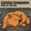 Calming Companion Music for Your Dog, Pt. 1
