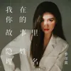 About 我在你的故事里隐姓埋名 Song