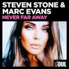 About Never Far Away Radio Mix Song