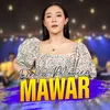 About Mawar Song