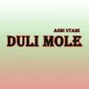 Duli Mole