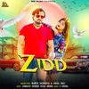 About Zidd Song