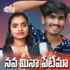 About Navamena Petema Song