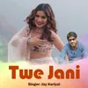 About Twe Jani Song