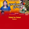 About Tulasi Lo Tulasi Song