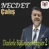 İlkbaharda Geleceğim Demiştin