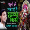 About Phoolon Me Saj Rhe Hain Vrindaban Bihari Song