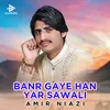 About Banr Gaye Han Yar Sawali Song