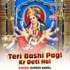 About Teri Bashi Pagl Kr Deti Hai Song