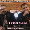 About Ramai cum te-am cunoscut Song