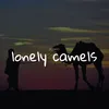 Lonely Camels