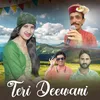 Teri Deewani