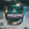 About Can't Stay Song