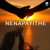 About Nenapayithe Song
