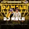 DJ Wale Party Song