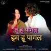 About Tu Hu Pagal Ham Hu Pagal Song