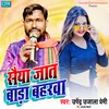 About Saiya Jat Bada Baharawa Song