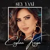 About Şey Yani Song