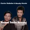 Boruni Tokke Bawang