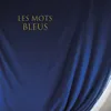 About Les mots bleus Song