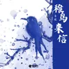 About 稚鸟来信 Song