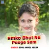 About Hamko Bhul Na Paoge Snm Song