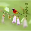 About 桐花凤雀--成都歌赋 Song
