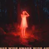 About Wide Awake Song