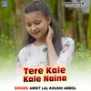 Tere Kale Kale Naina