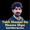 About Yakh Shamal Da Neemo Shpo Song