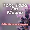 About Toba Toba Da Meene Song