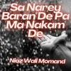 About Sa Narey Baran De Pa Ma Nakam De Song