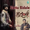 About Sattu Bidale From "I am Pregnant" Song