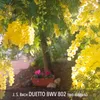 About Duetto in E-Flat Major, BWV 802 Per flauto e organo Song