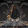 About The Spirit of Shadow Song