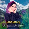 About Нохчийчоь Song