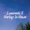 About Lemonade X Harleys In Hawai Song