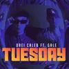 About TUESDAY Song