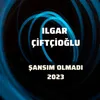 About Şansım Olmadı Song