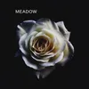About Meadow Song