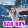 About Sad Boy Song