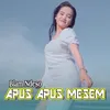 About Apus Apus Mesem Song