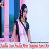 About Radha Ka Chudla Mein Nagina Sona Ko Song