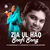About Zia Ul Haq Soofi Song Song
