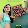 About Panjabi Dola Lego Jahaj Me Song