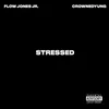 About Stressed Song