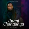 About Unanichanganya Song