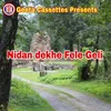 About Nidan Dekhe Fele Geli Song